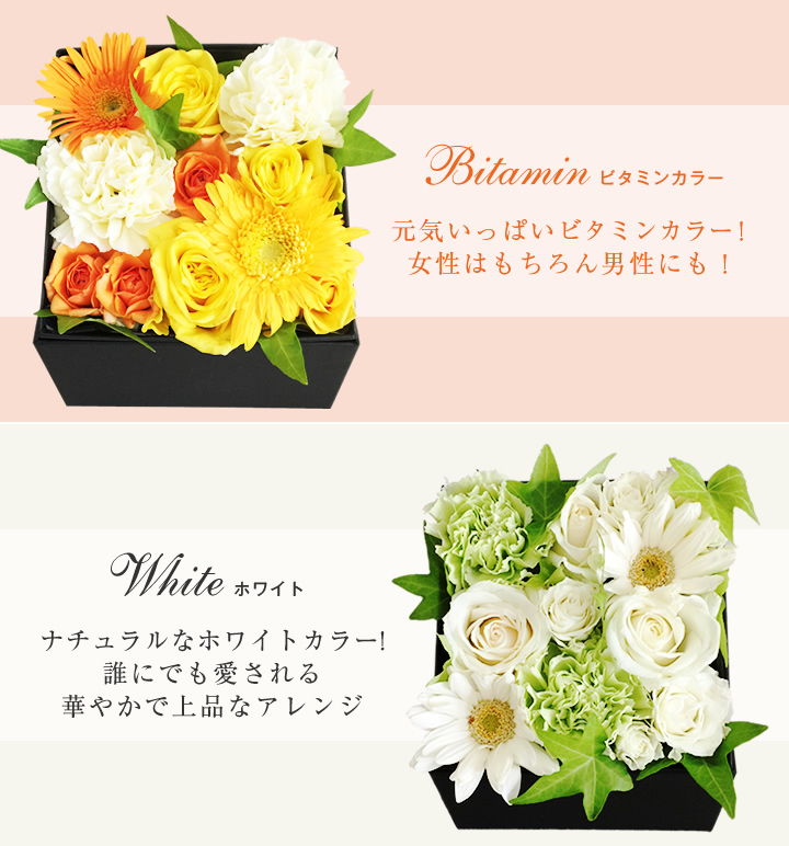 BOXアレンジ ビタミン、ホワイト紹介