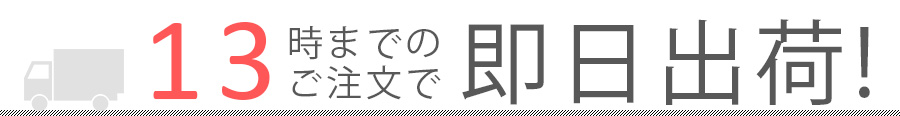 15時までの注文で即日出荷!